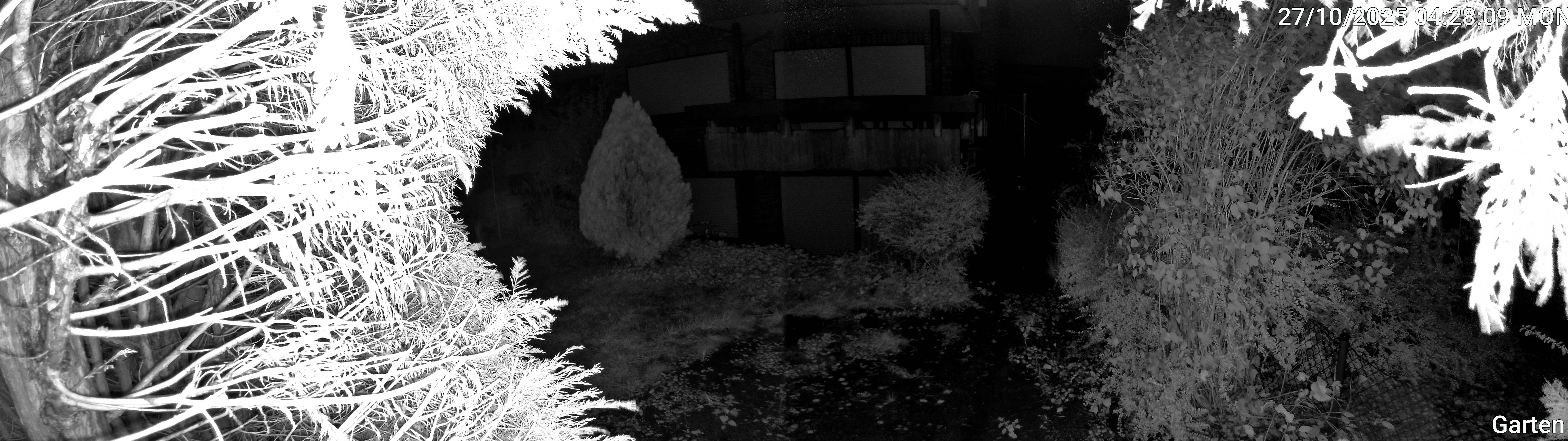 Garten_00_20251027042809.jpg