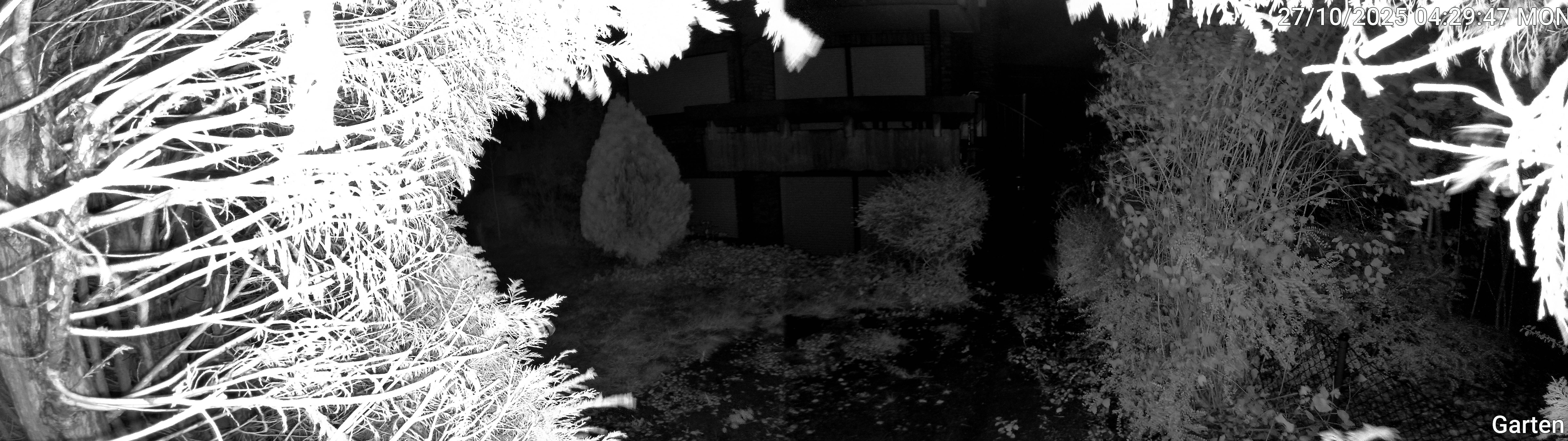 Garten_00_20251027042947.jpg