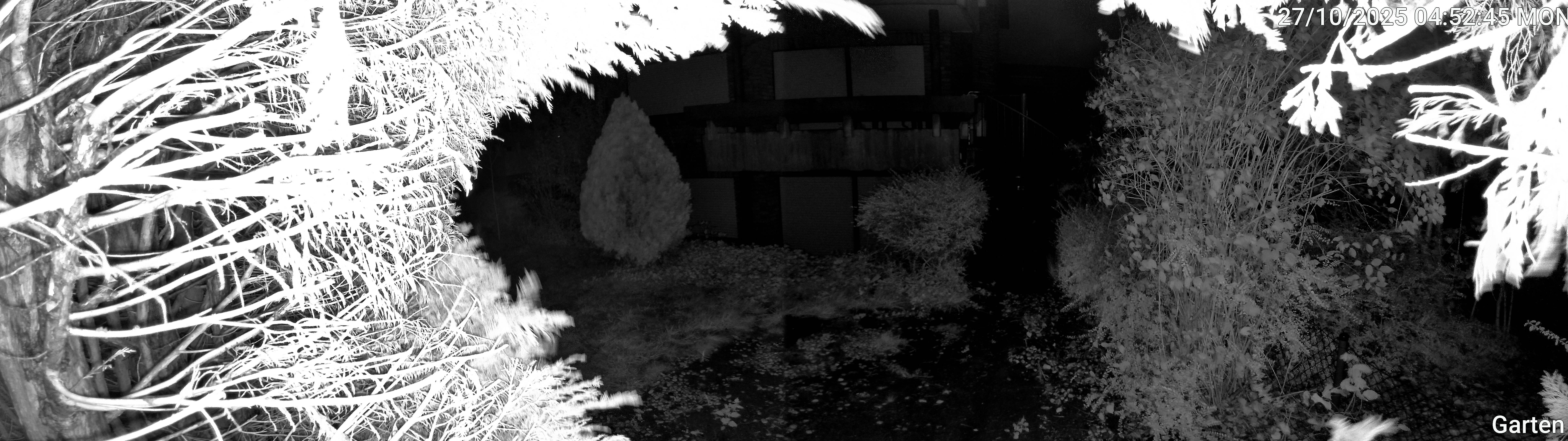 Garten_00_20251027045245.jpg