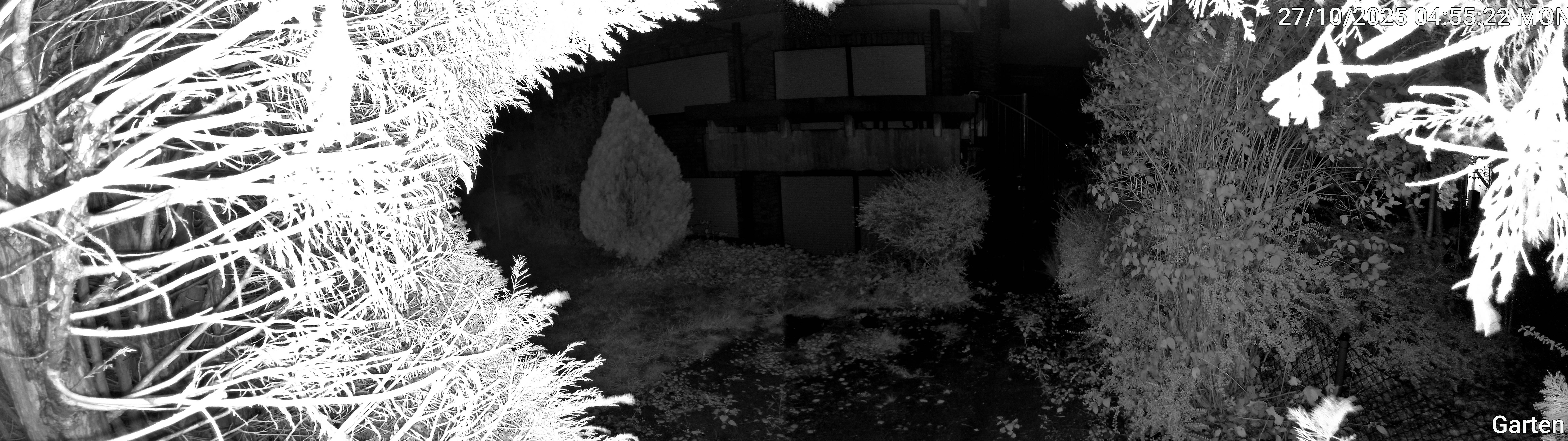 Garten_00_20251027045522.jpg