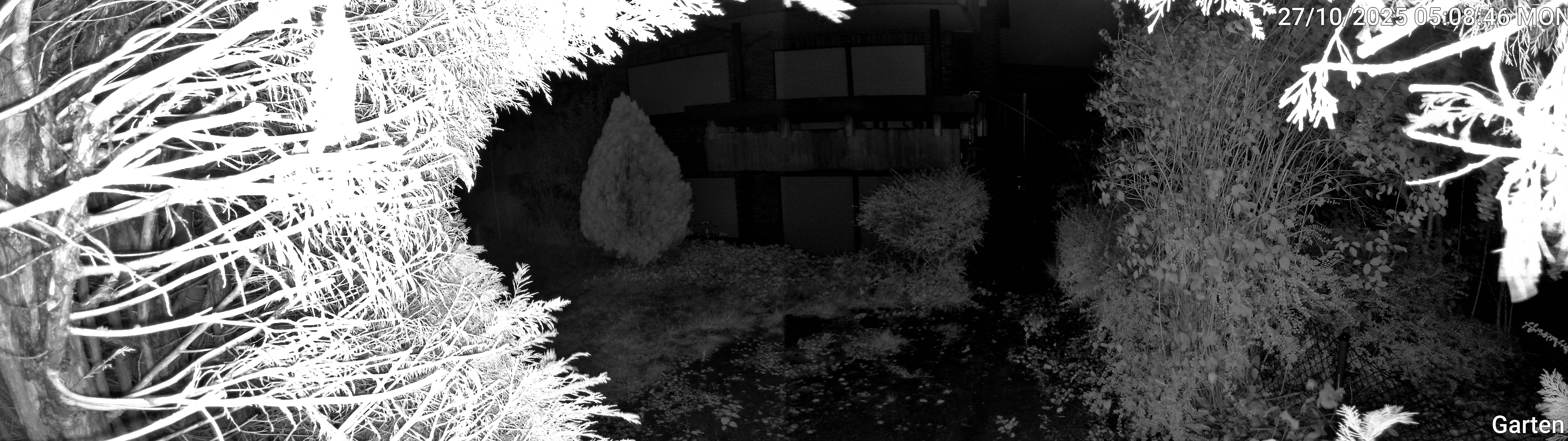 Garten_00_20251027050846.jpg