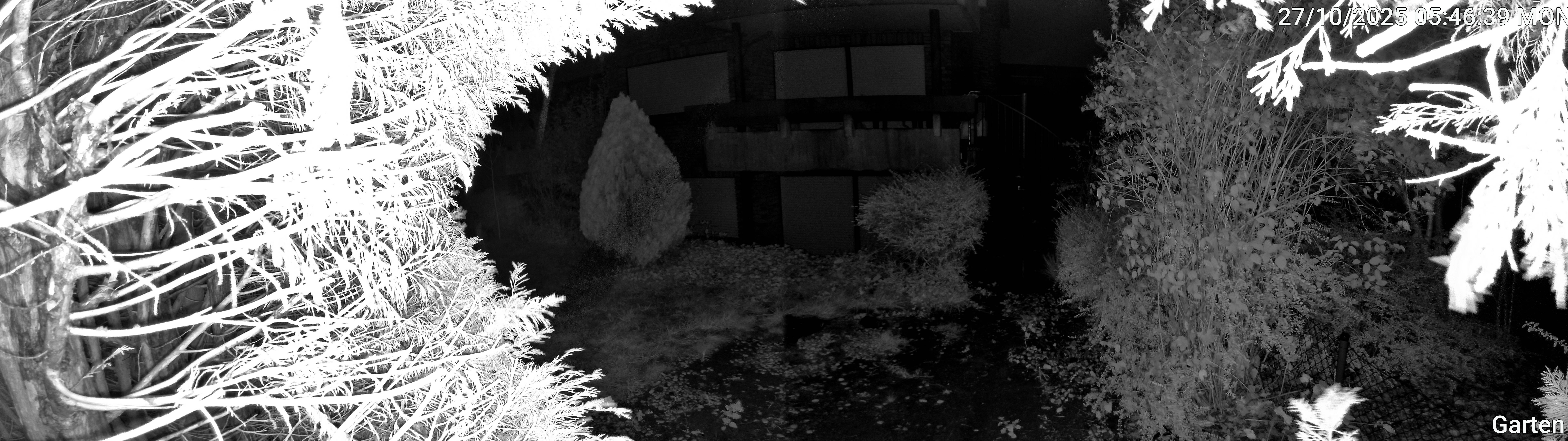 Garten_00_20251027054639.jpg