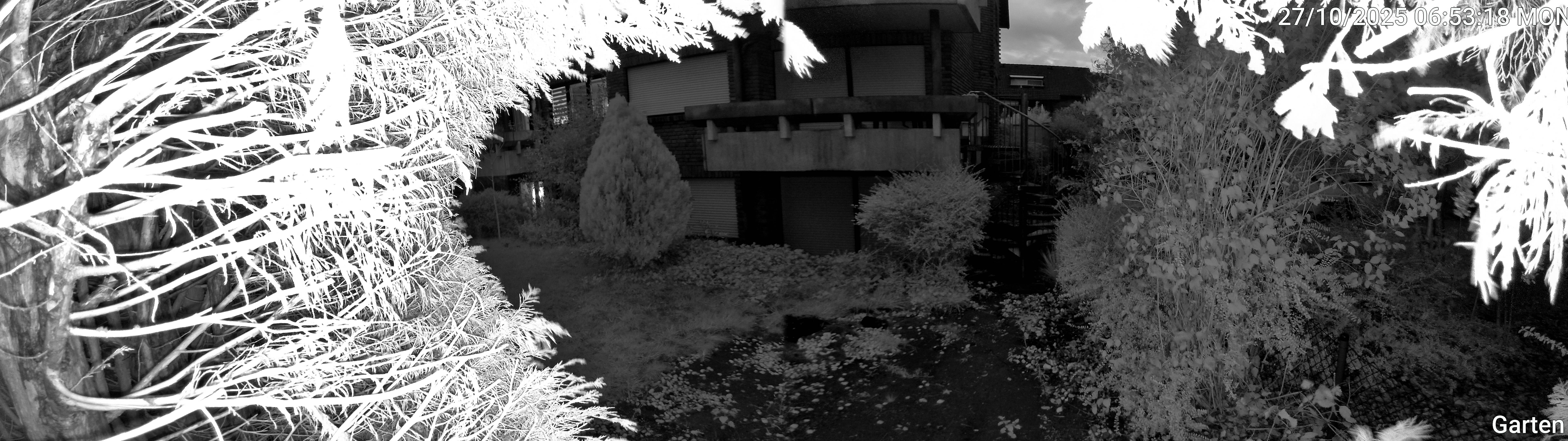 Garten_00_20251027065318.jpg