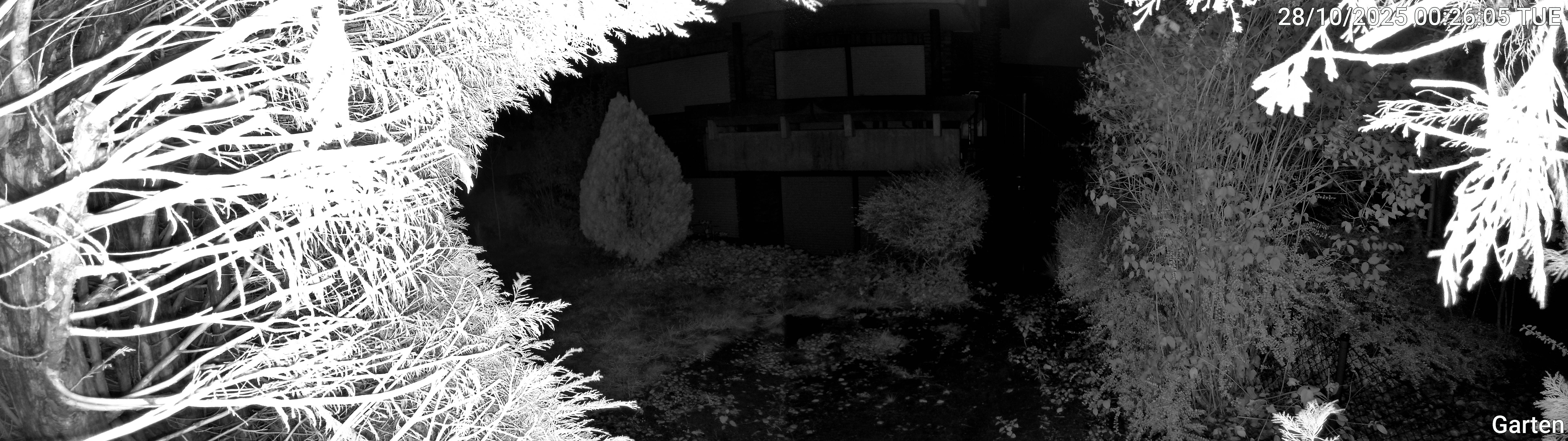 Garten_00_20251028002605.jpg
