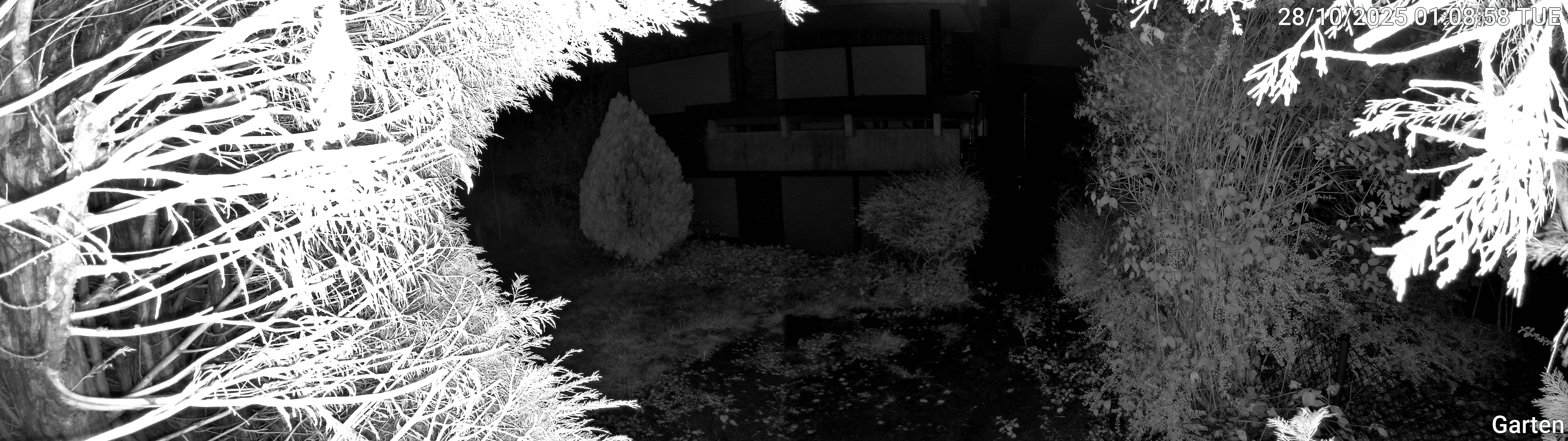 Garten_00_20251028010858.jpg