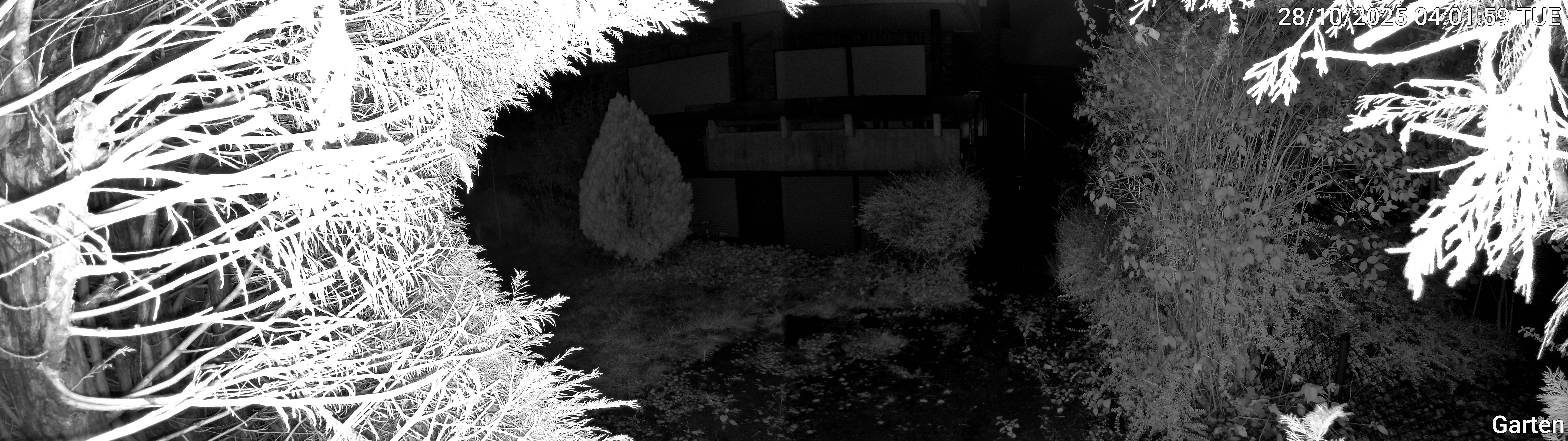 Garten_00_20251028040159.jpg