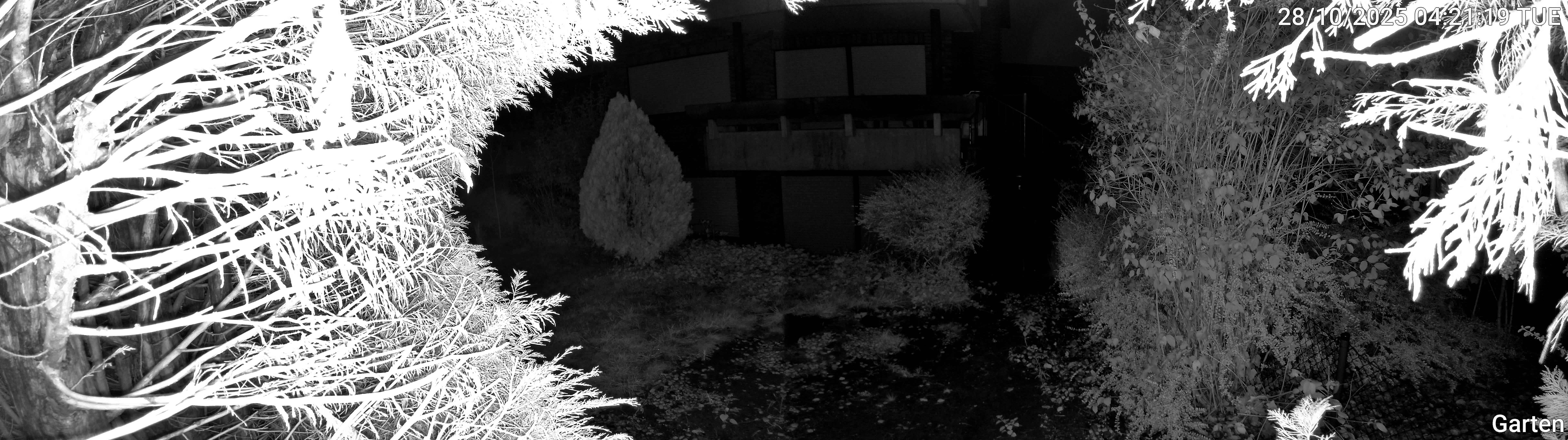 Garten_00_20251028042120.jpg