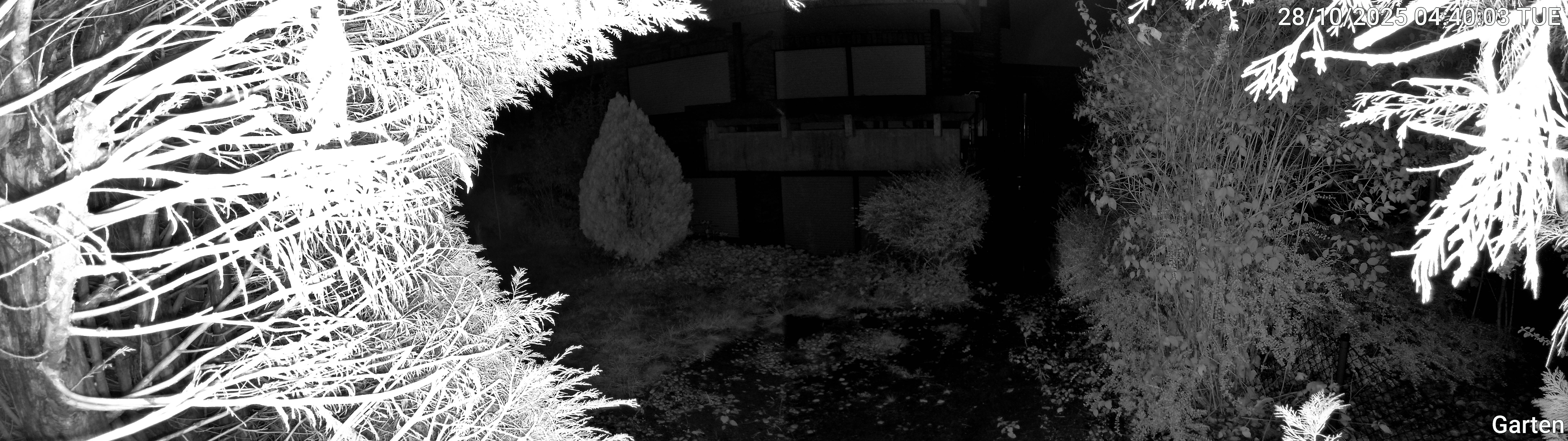 Garten_00_20251028044003.jpg