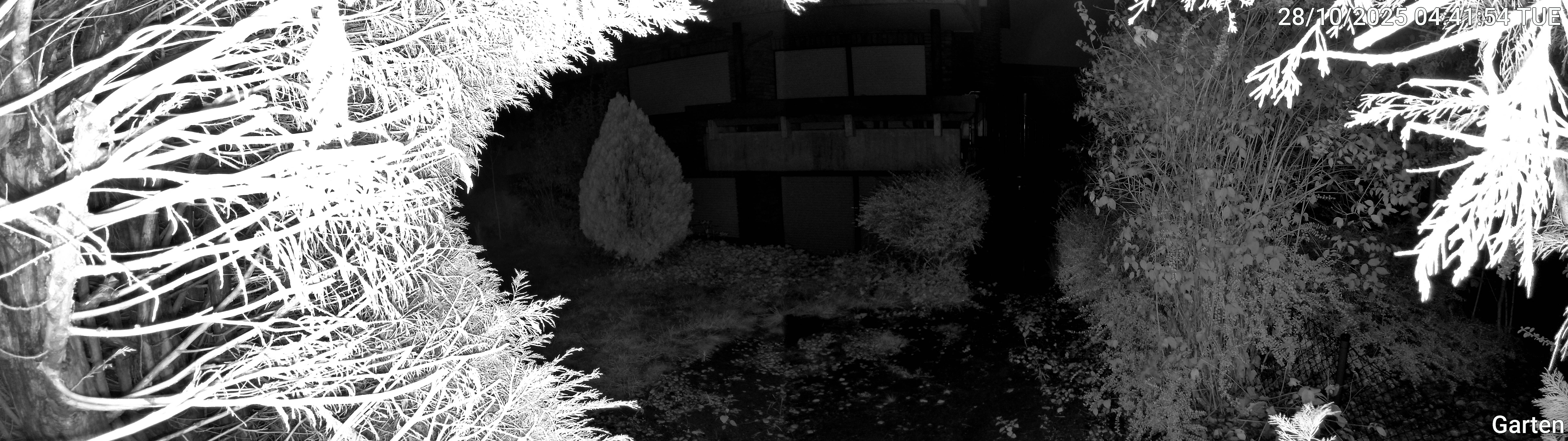 Garten_00_20251028044154.jpg