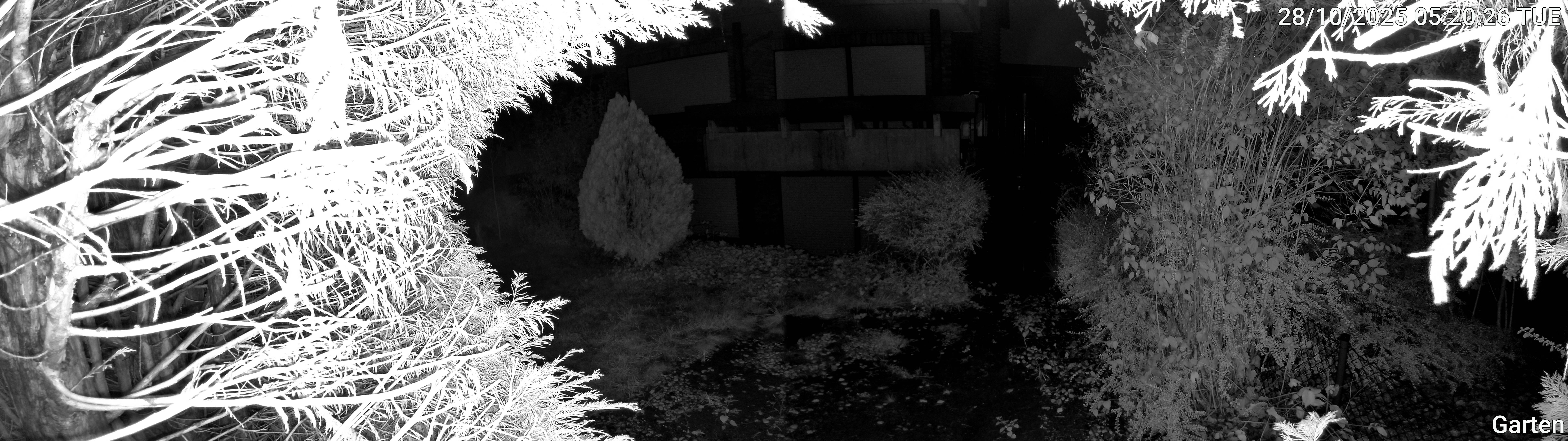 Garten_00_20251028052026.jpg