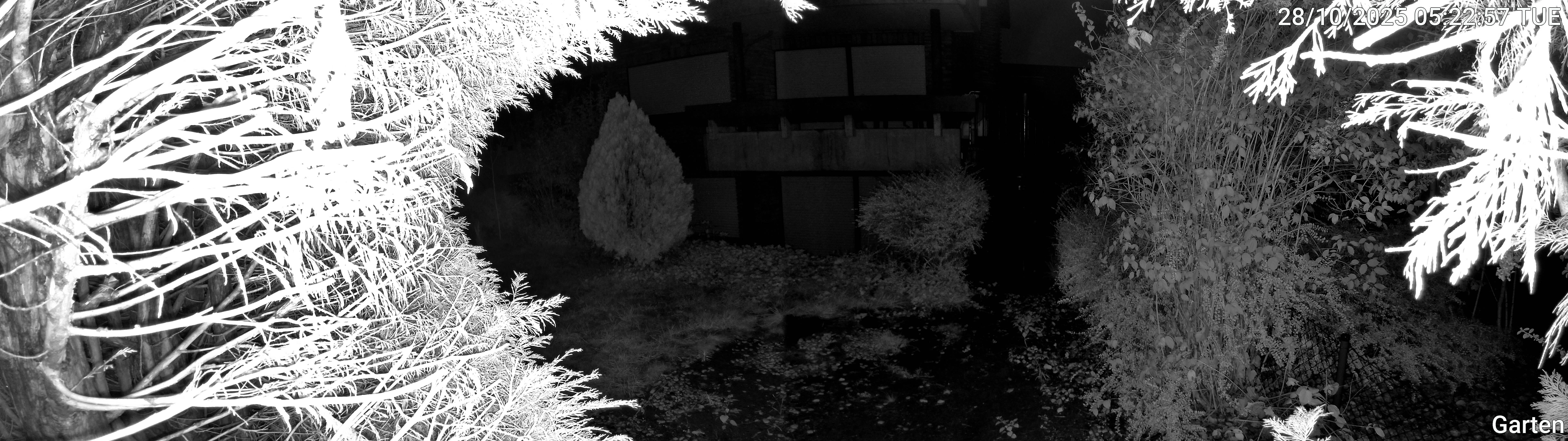 Garten_00_20251028052258.jpg
