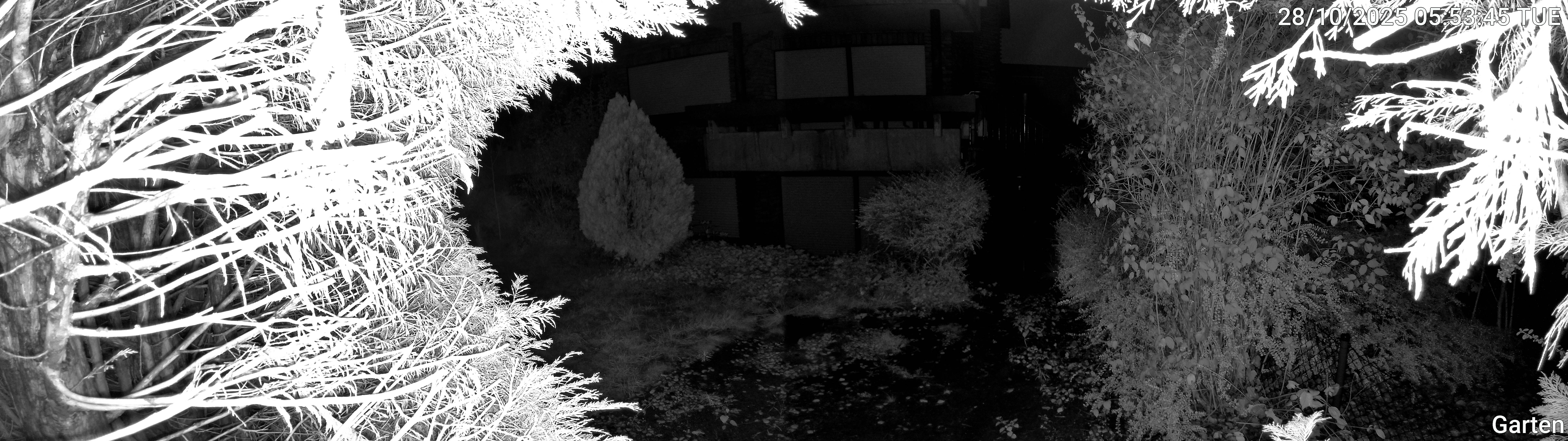 Garten_00_20251028055346.jpg