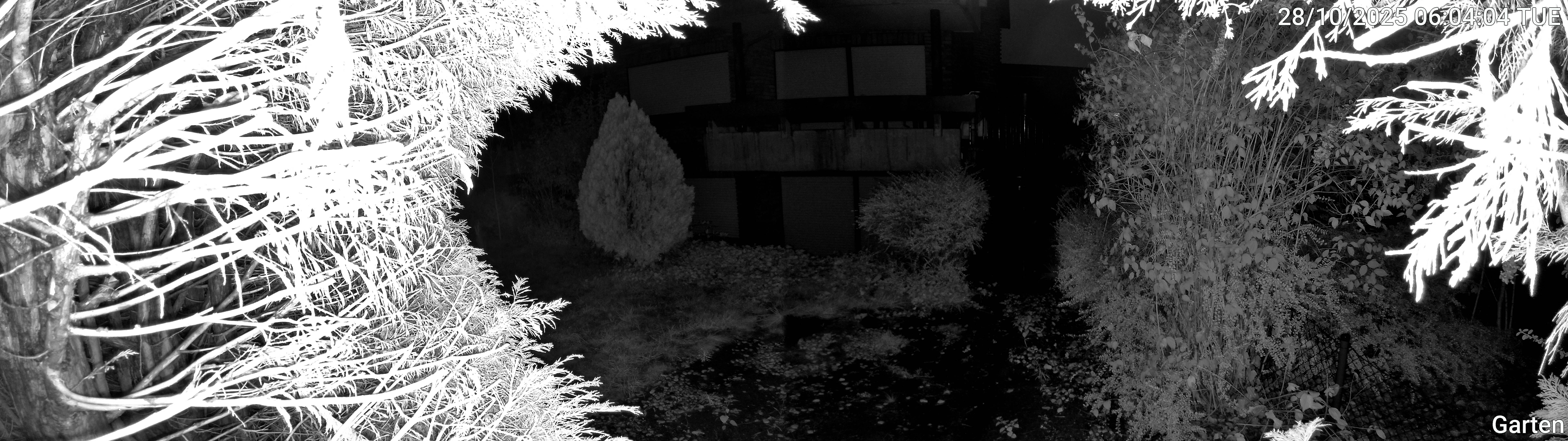 Garten_00_20251028060404.jpg