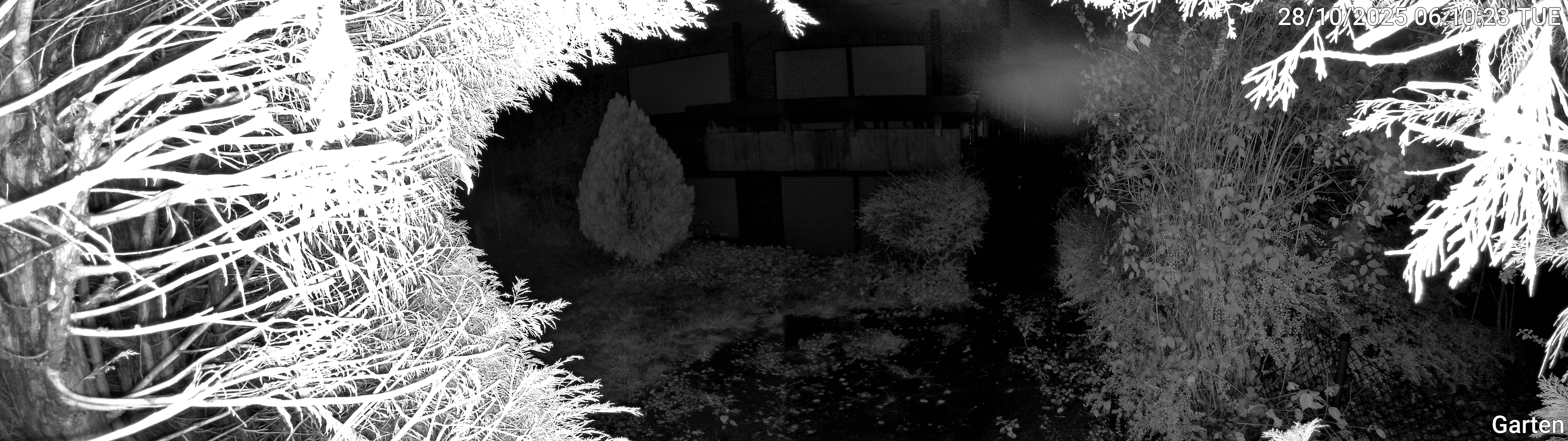 Garten_00_20251028061023.jpg