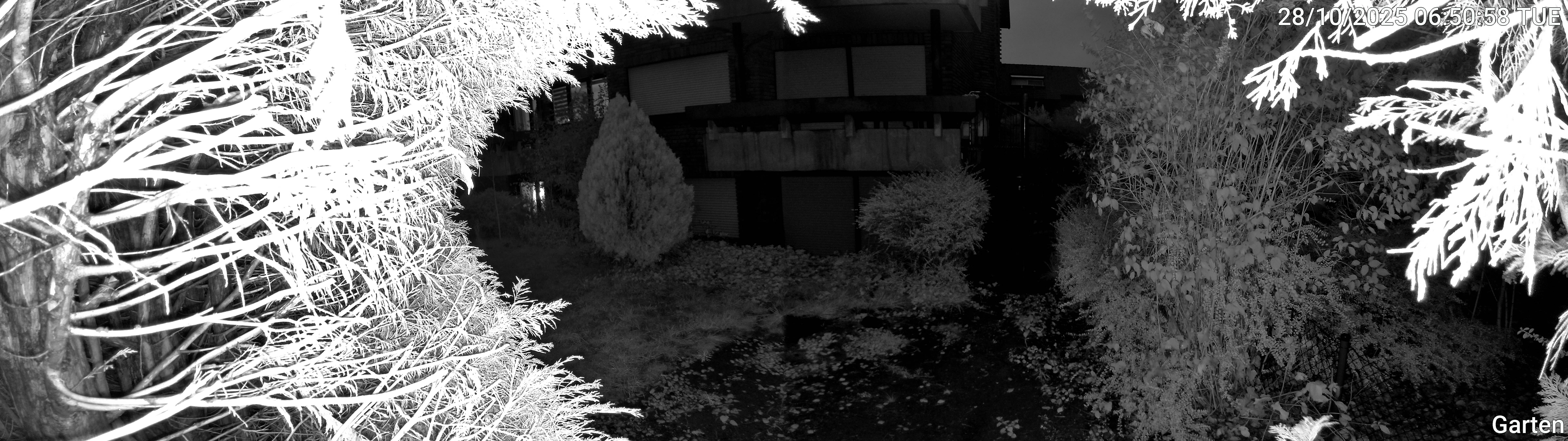 Garten_00_20251028065058.jpg