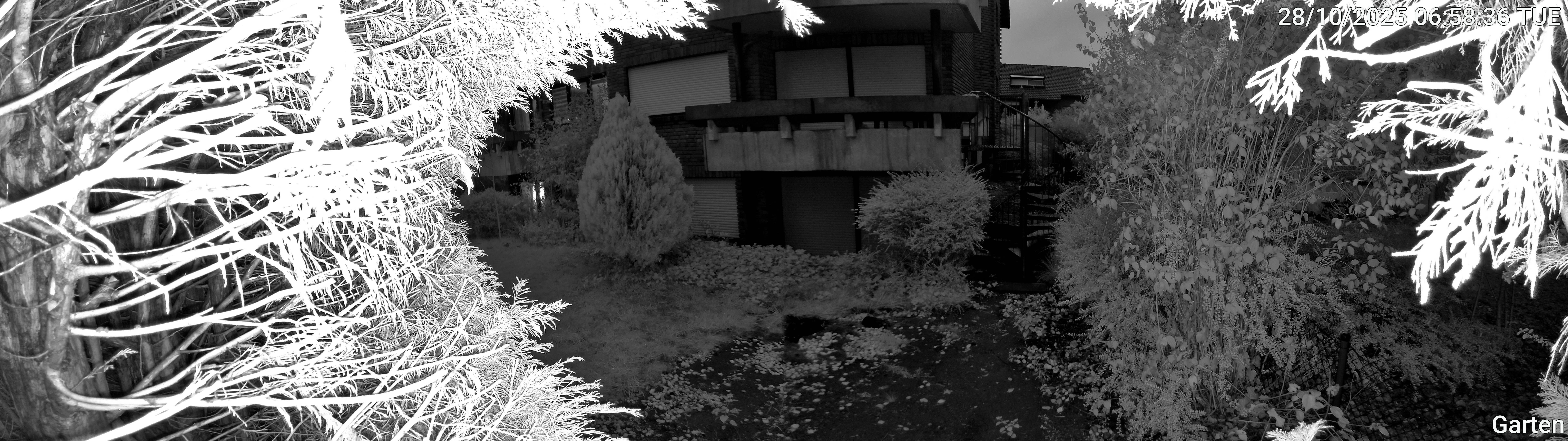 Garten_00_20251028065836.jpg