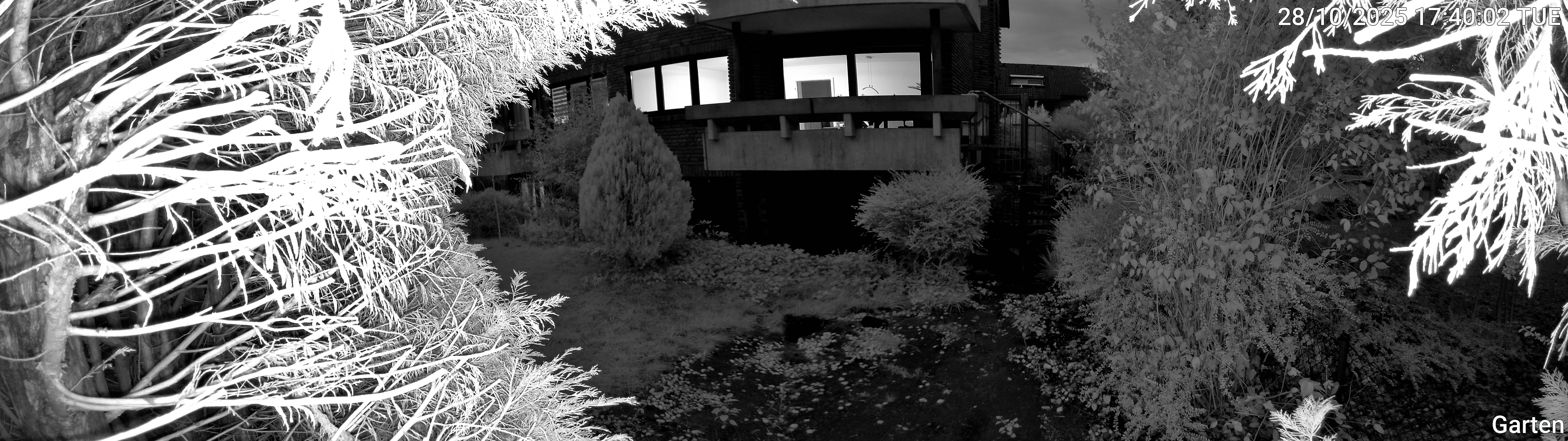 Garten_00_20251028174002.jpg