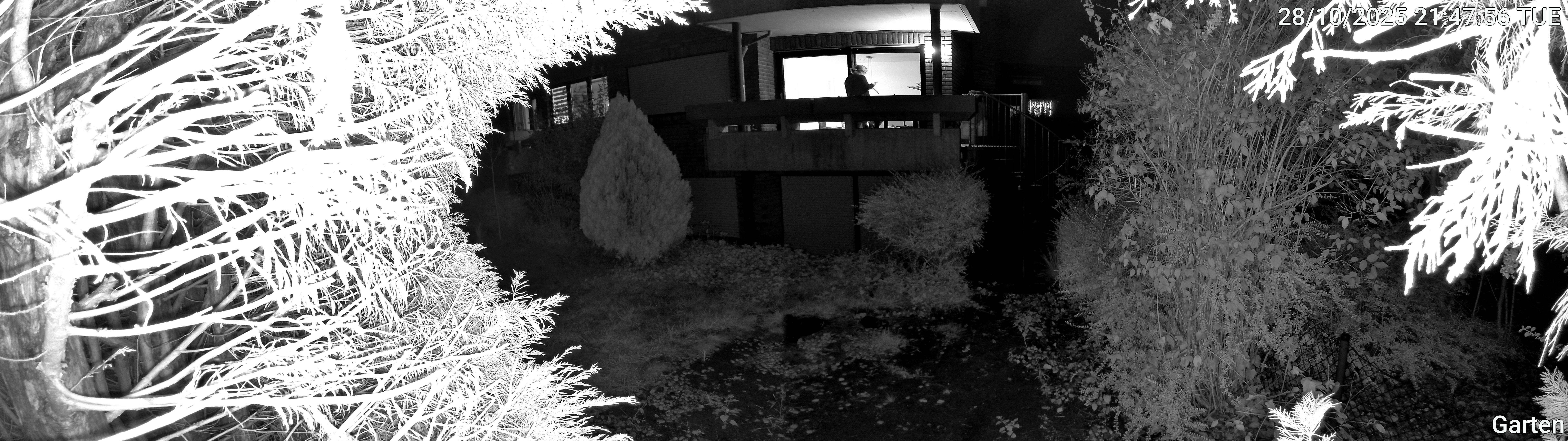 Garten_00_20251028214757.jpg