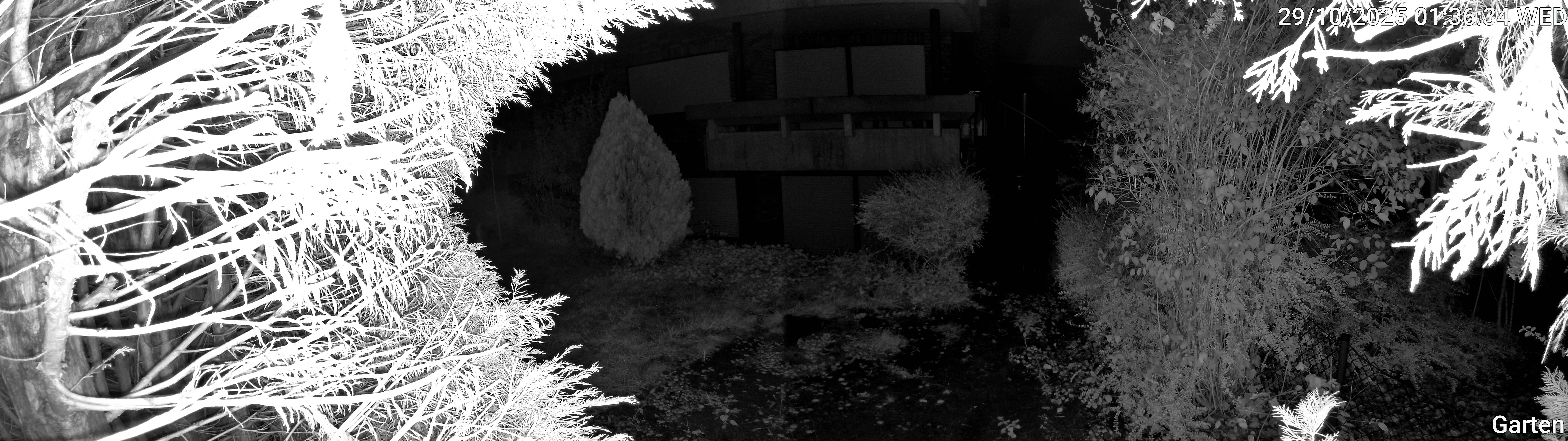 Garten_00_20251029013634.jpg