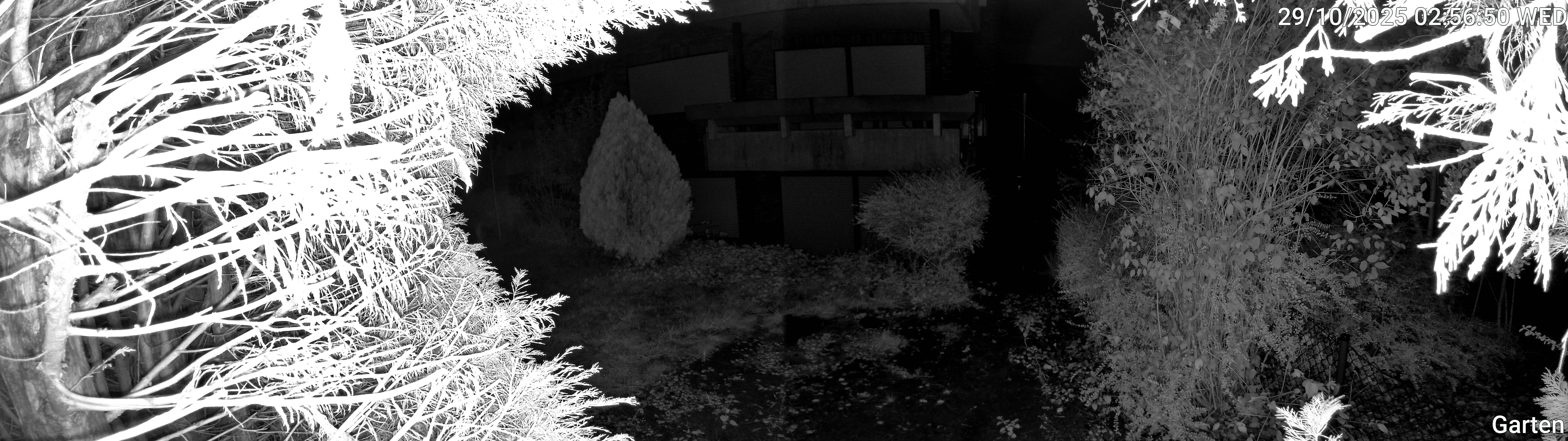 Garten_00_20251029025650.jpg