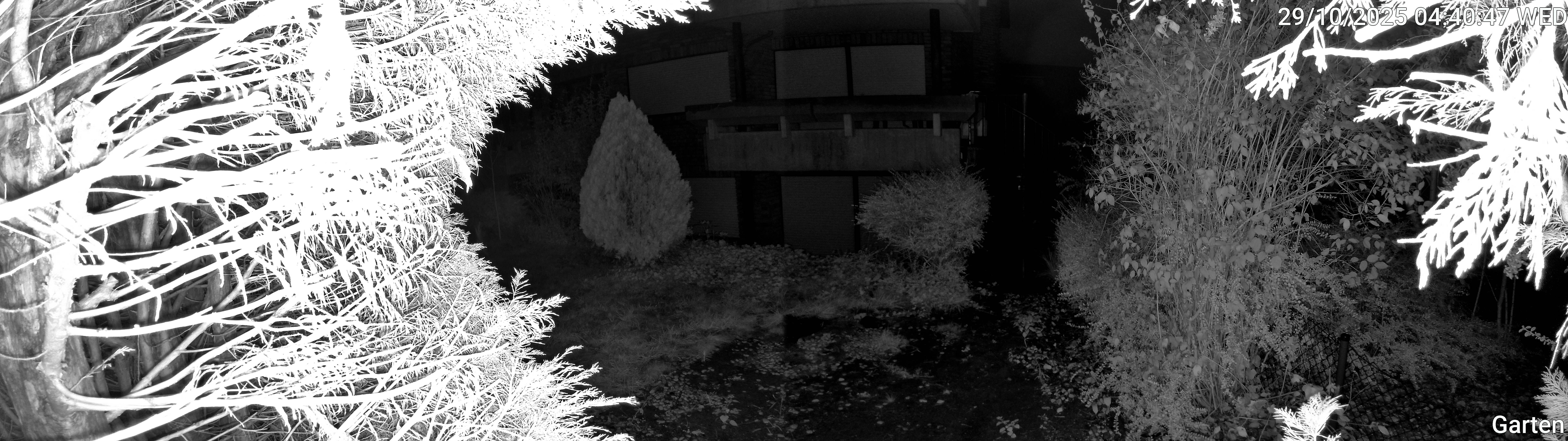 Garten_00_20251029044047.jpg