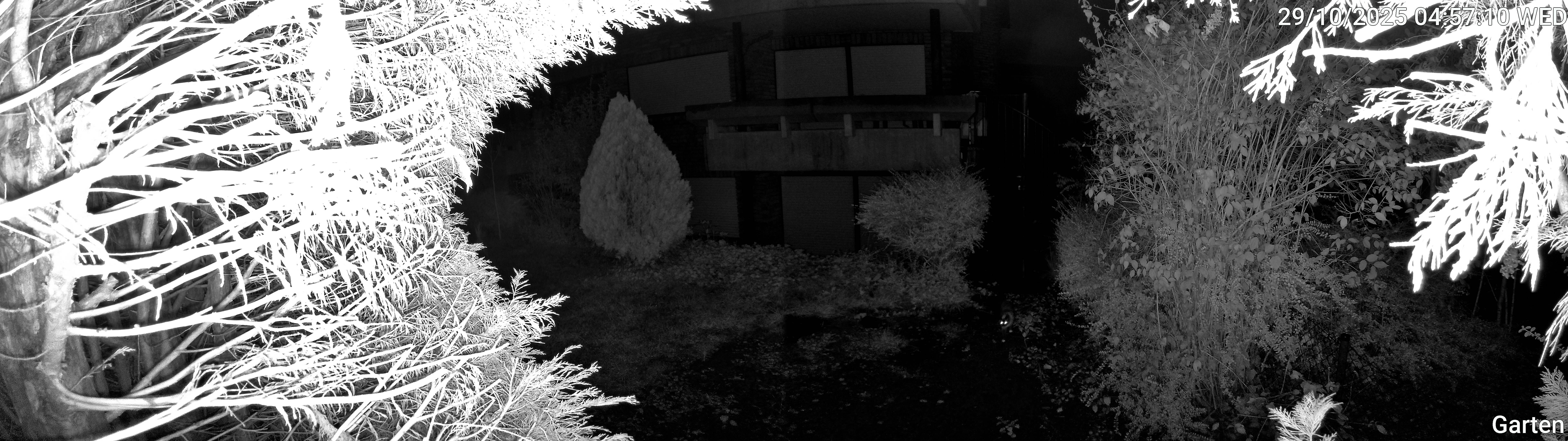 Garten_00_20251029045710.jpg